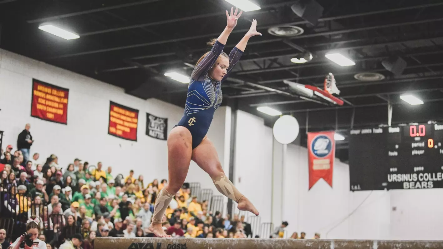 blake hosey recommends dgs gymnastics pic