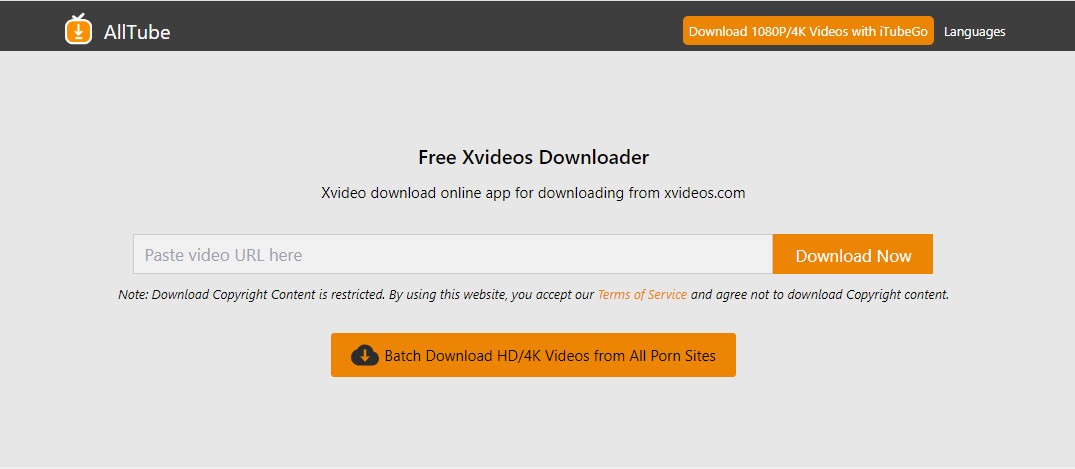 porn downloader web