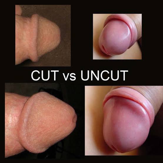 uncut men pic