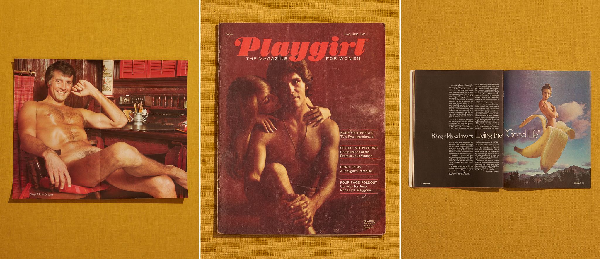 playgirl hung