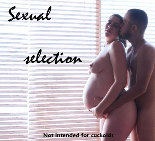 azrul azlan recommends Cuckolding Pregnant