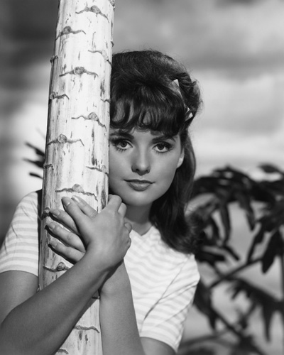 danielle wines recommends dawn wells naked photos pic