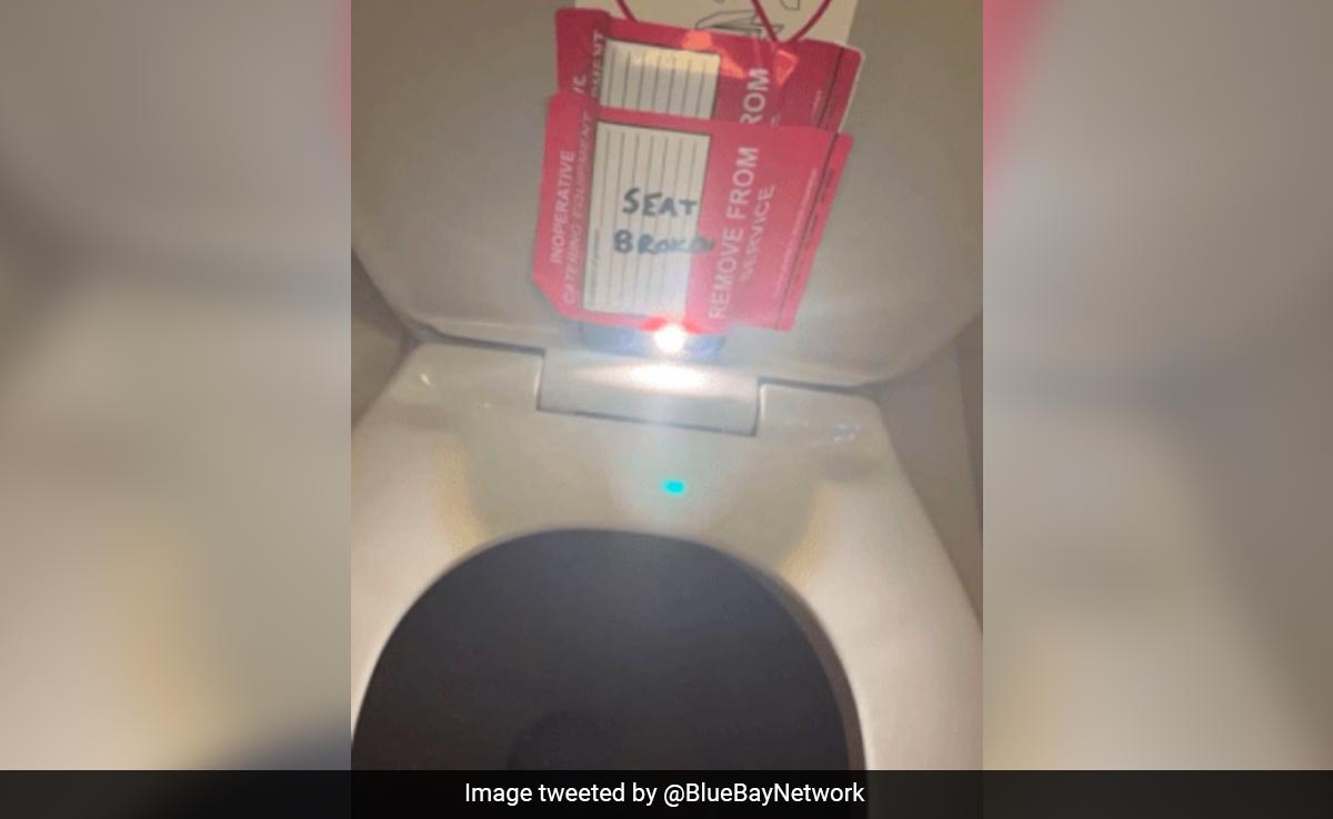 don lavery add hidden cam in toilet bowl photo