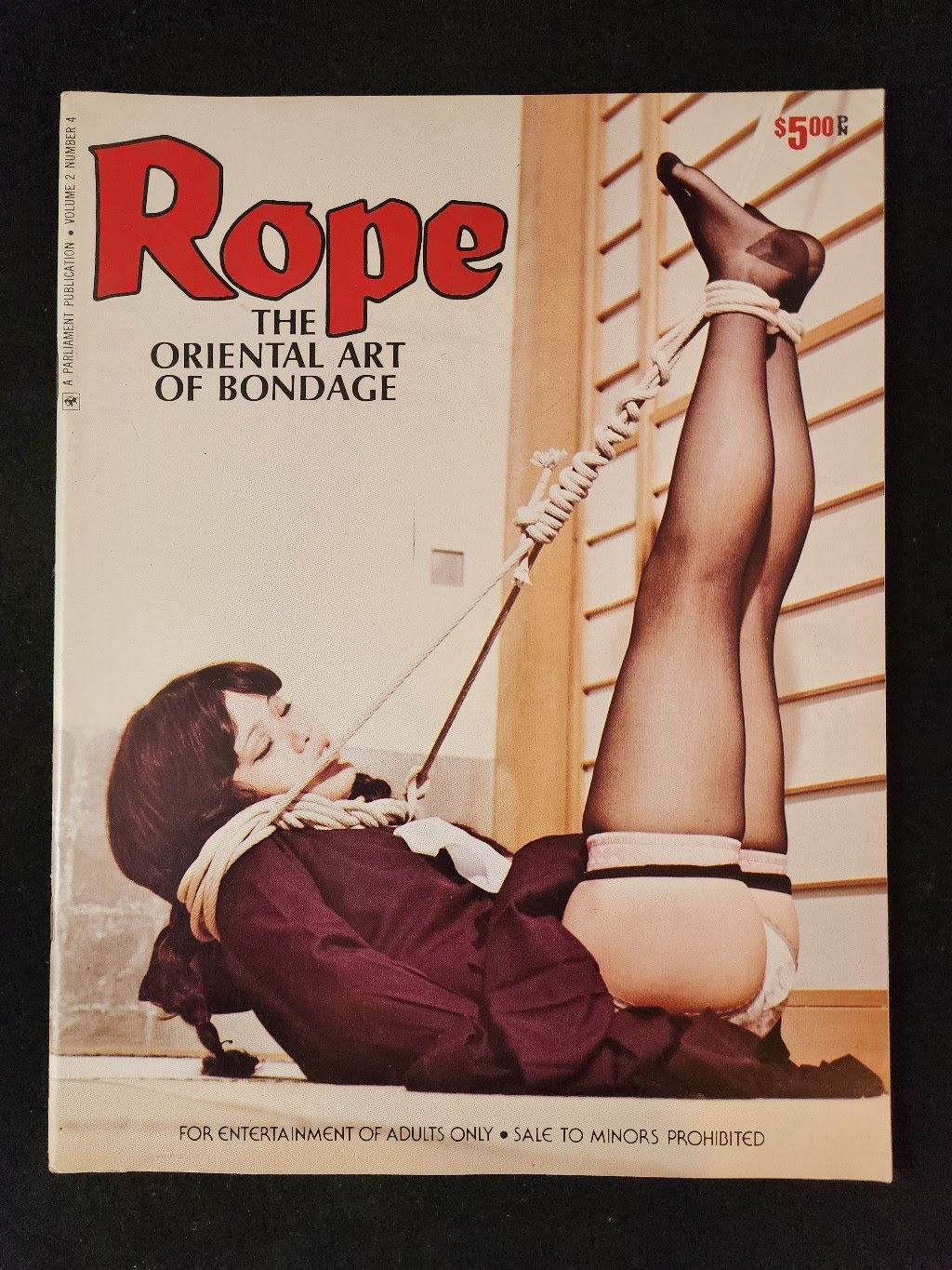 andre a de souza recommends Chinese Bondage Rope