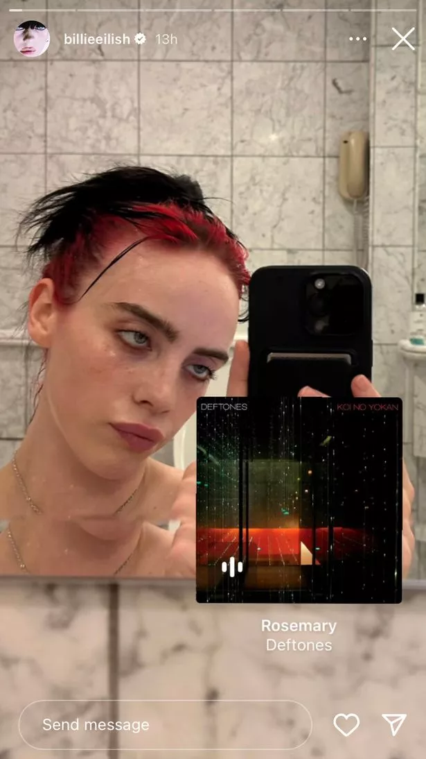 dorin harel share billie eilsh naked photos