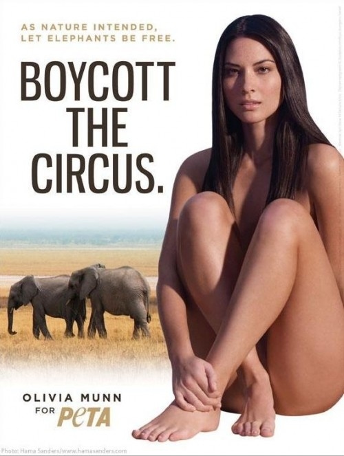 dora mcfarlan recommends olivia munn naked images pic