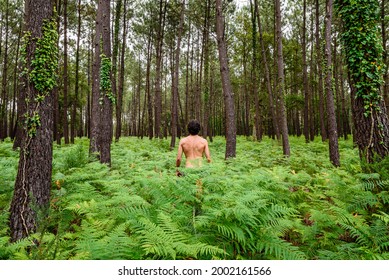 danielle romeyn add naked men in forest photo
